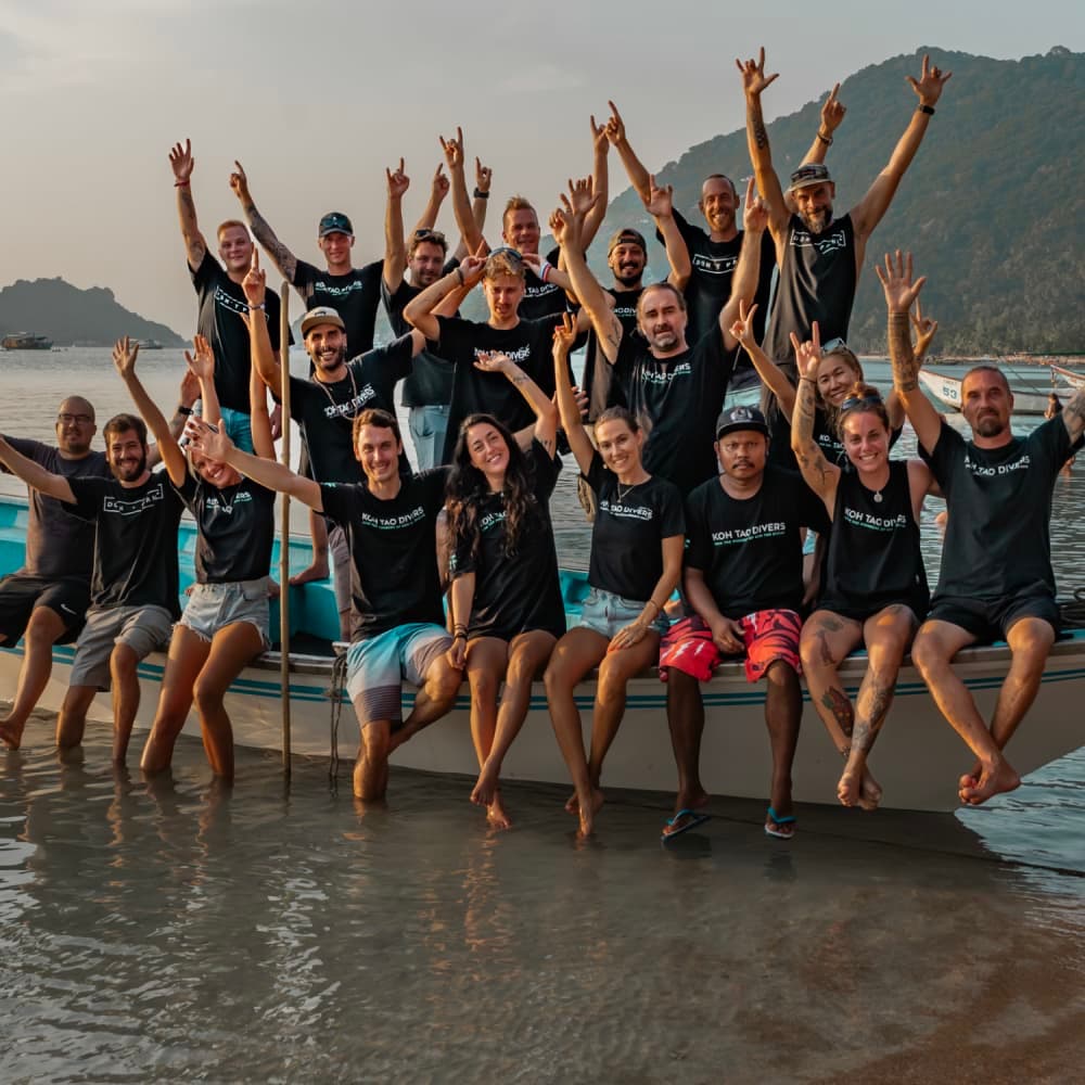 Koh Tao Divers